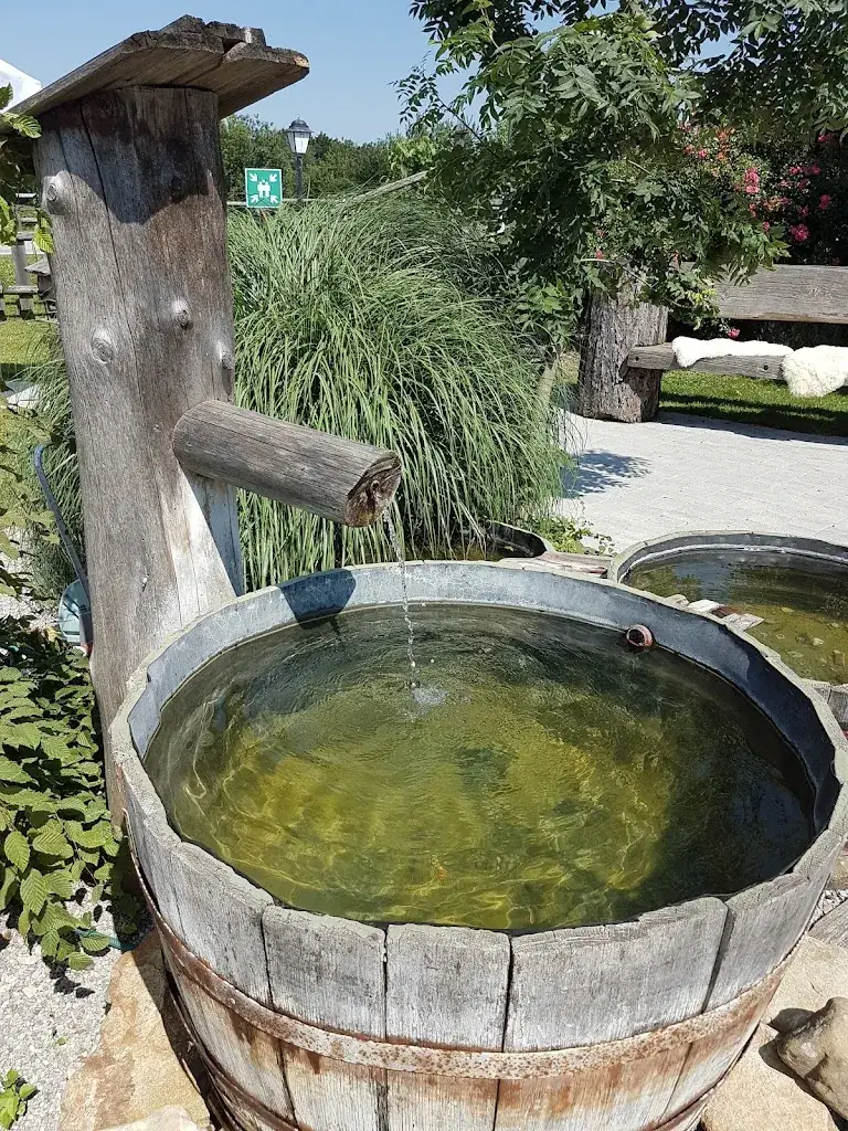 Michail SOUSLOV_Ramsauhof 4.0 - Das kultige Wirtshouse_Erlauf_recensione