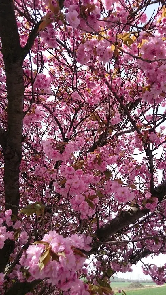 Fleischerei Scheiterer - Feinkost | Imbiss | Catering_Enzersfeld_slider_image_2