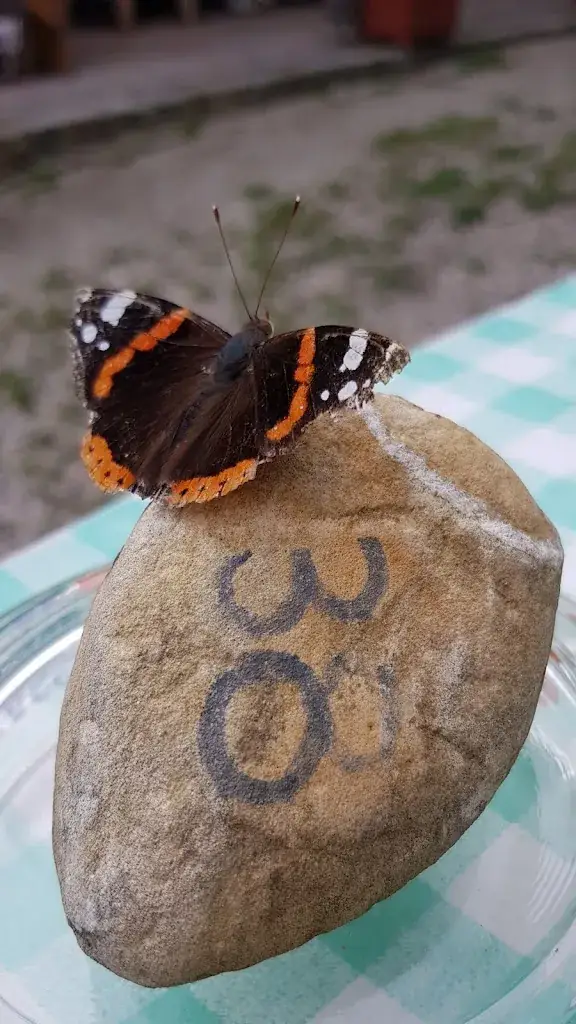 Menu_Buschenschank Josef und Eveline Eichberger_Enzersfeld_image_7