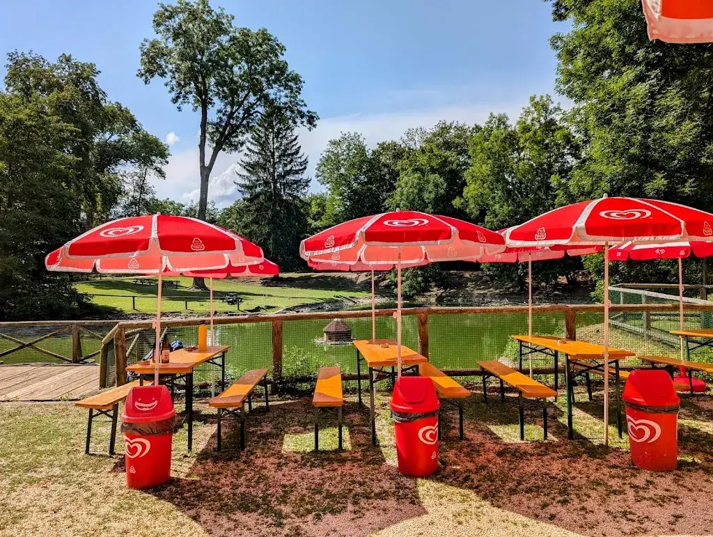 Julia Schöllbauer_Hexenküche_Ernstbrunn_avis