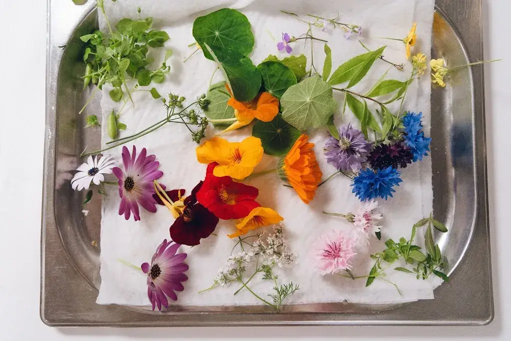 Menu_Gasthaus Gruber Christian_Euratsfeld_image_7