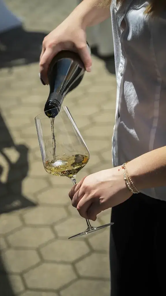 Menu_Pop-Up Restaurant im Weingut Urbanihof_Fels am Wagram_immagine_4