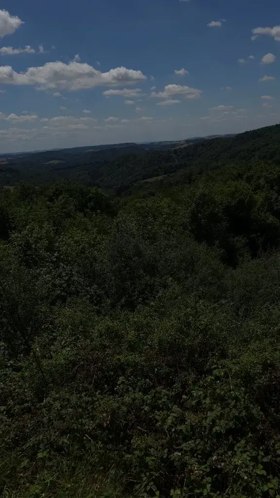 Antonio Herrera_Falkensteiner Hof_Falkenstein_avis