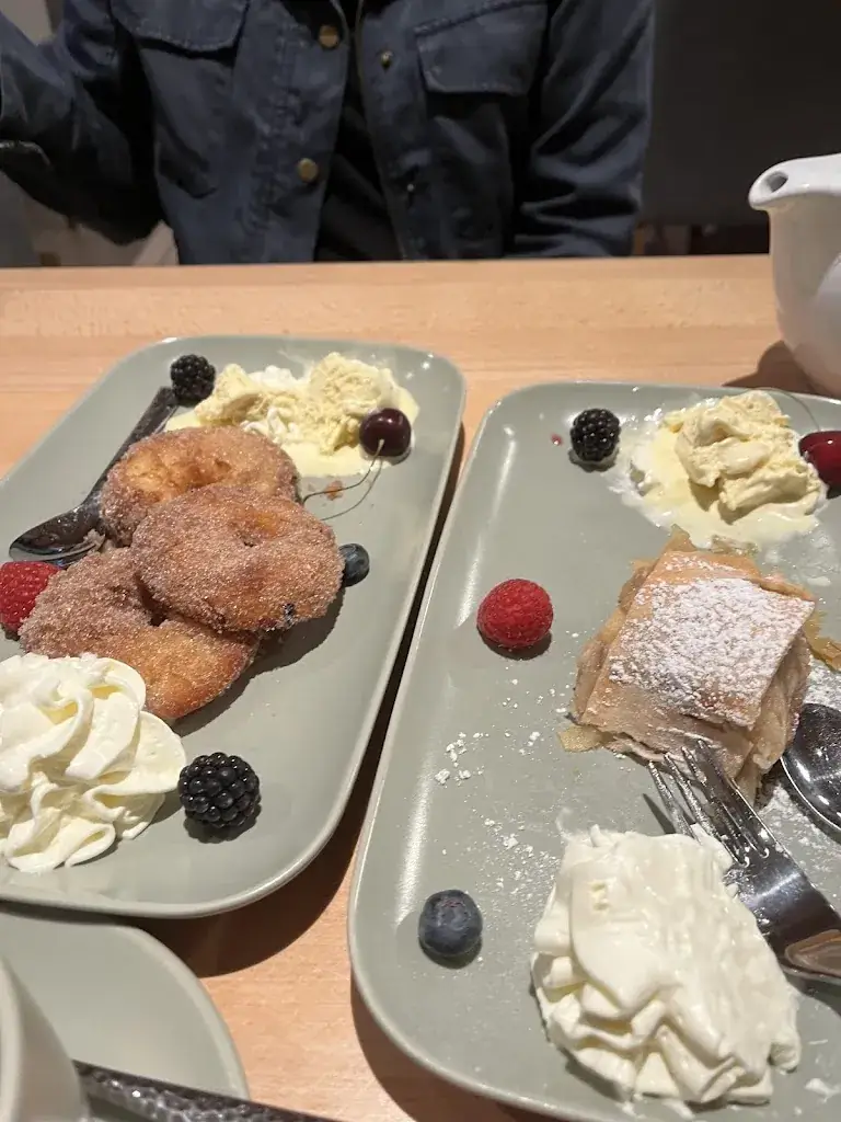 Jane Gregg_Burgstubb-Falkenstein_Falkenstein_avis