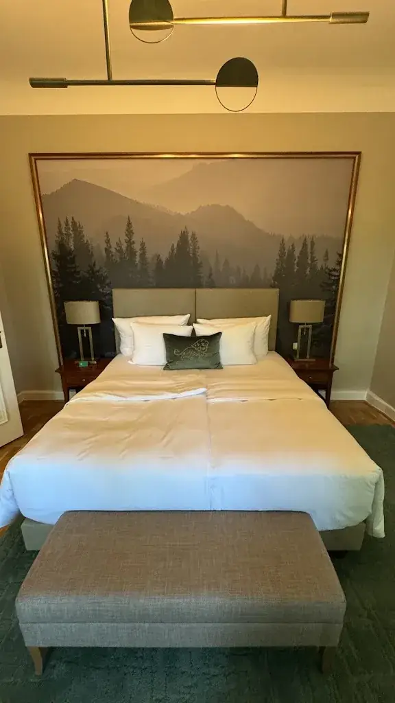 Jeb Montgomery_Falkenstein Grand, Autograph Collection_Falkenstein_avis