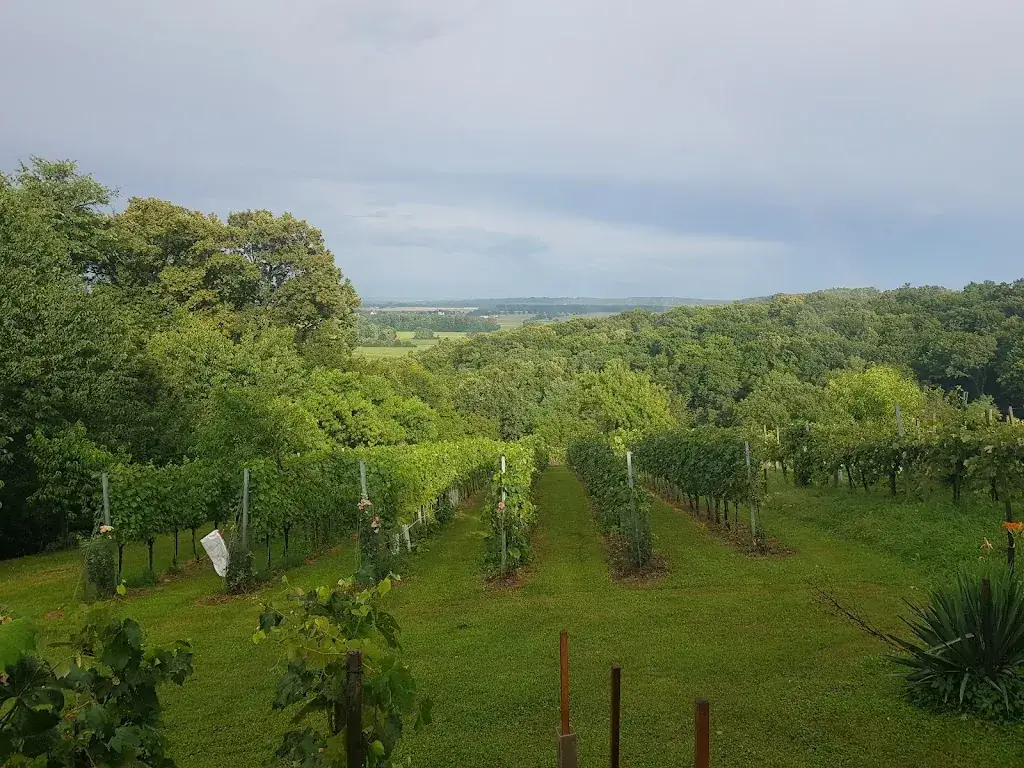 Roman R._Buschenschank Heindl_Heiligenbrunn_review