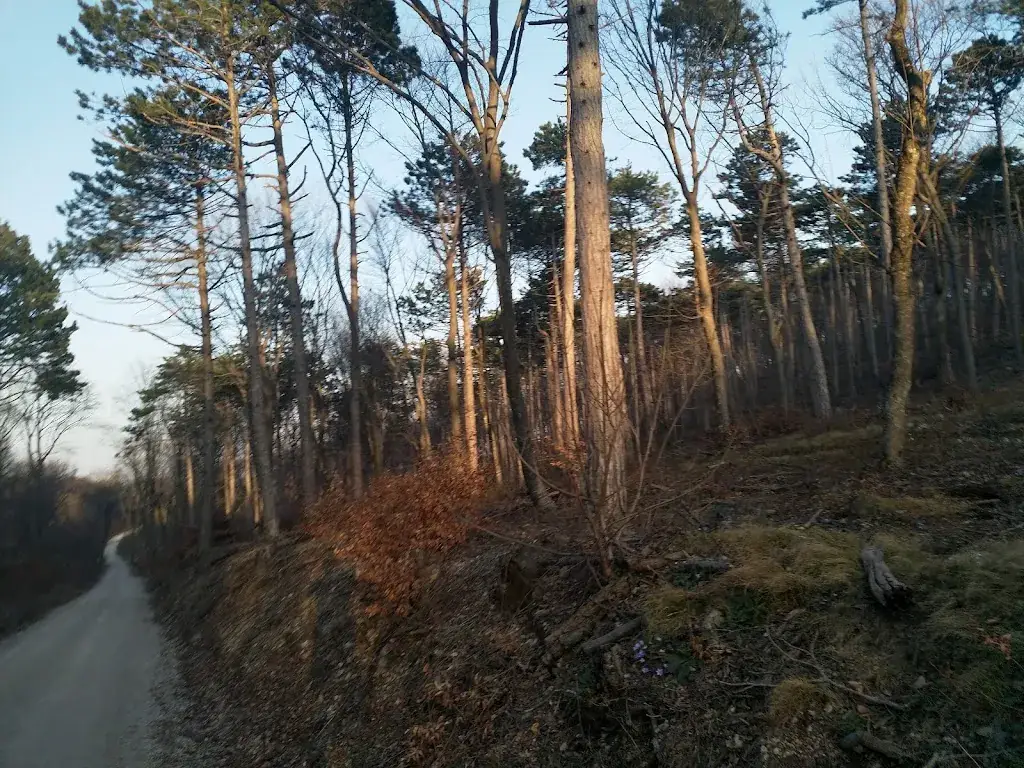 Michael Hlobil_Krauste Linde_Gaaden_recensione