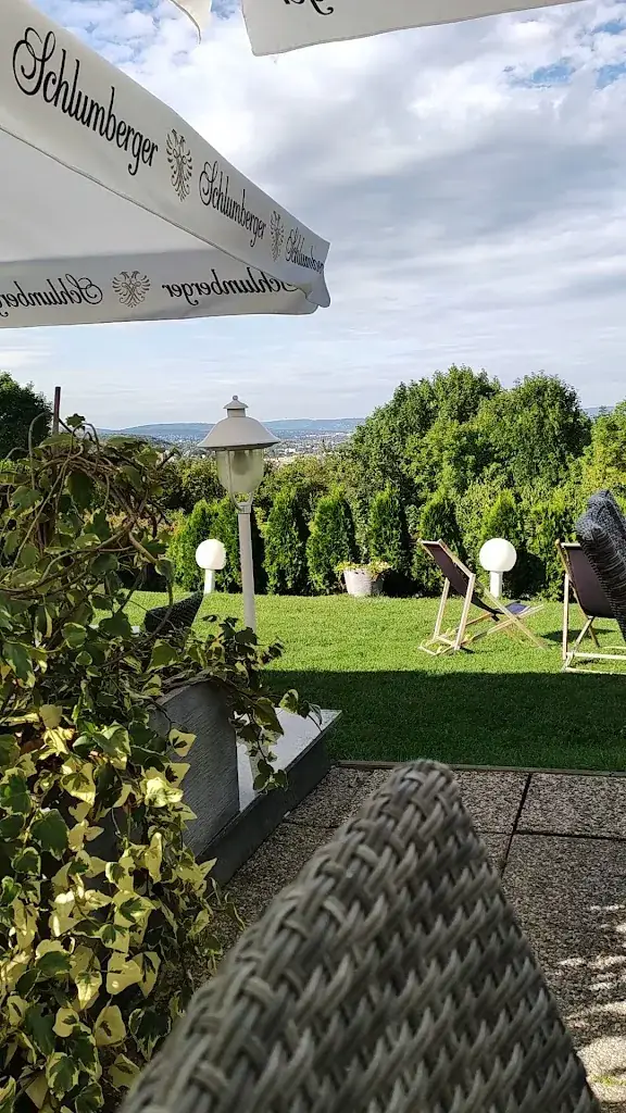 Panorama Restaurant Mödling [Wegen Umbau vorübergehend geschlossen]_Gaaden_slider_image_2