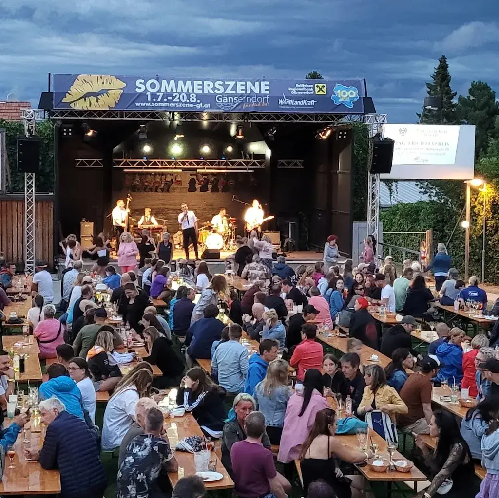 Mario Freiberg_Sommerszene Gänserndorf_Gänserndorf_avis