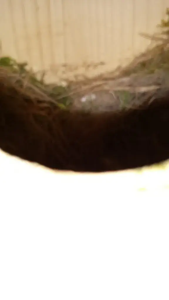 Menu_Gasthof Klackl_Gars am Kamp_image_6