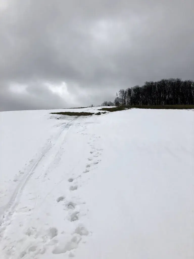 Orso bär_Laabacher Weinschenke_Gablitz_recensione
