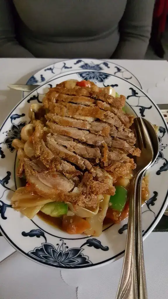 Michiel_Chinarestaurant Feng Sheng_Gablitz_recensione