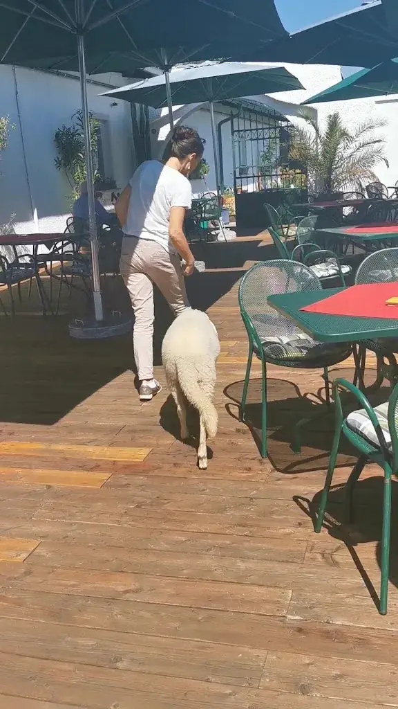 Wirtshaus Oliver_Gablitz_slider_image_2