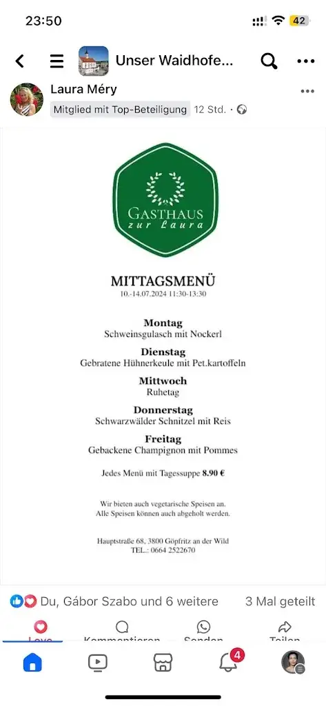 Anetta Szabo_Gasthaus zur Laura_Göpfritz an der Wild_review