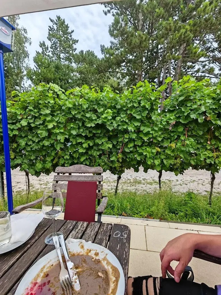 P A._Barbara Heuriger Restaurant Ploch Khan OG_Göllersdorf_avis