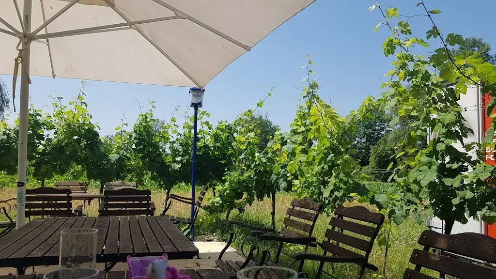 Fran S_Barbara Heuriger Restaurant Ploch Khan OG_Göllersdorf_avis