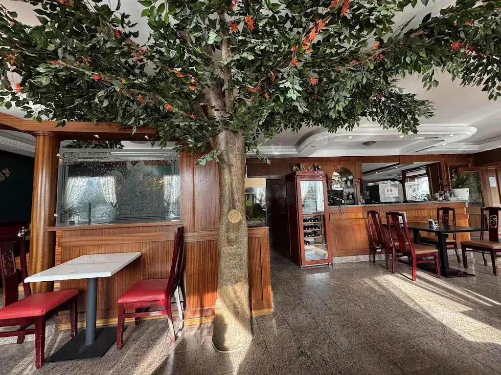 Ujvári Barnabás_China-Restaurant Lotus_Gloggnitz_recensione