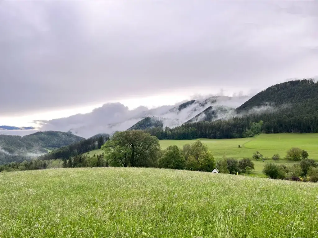 Gasthof Seelhofer OG_Gloggnitz_slider_image_3