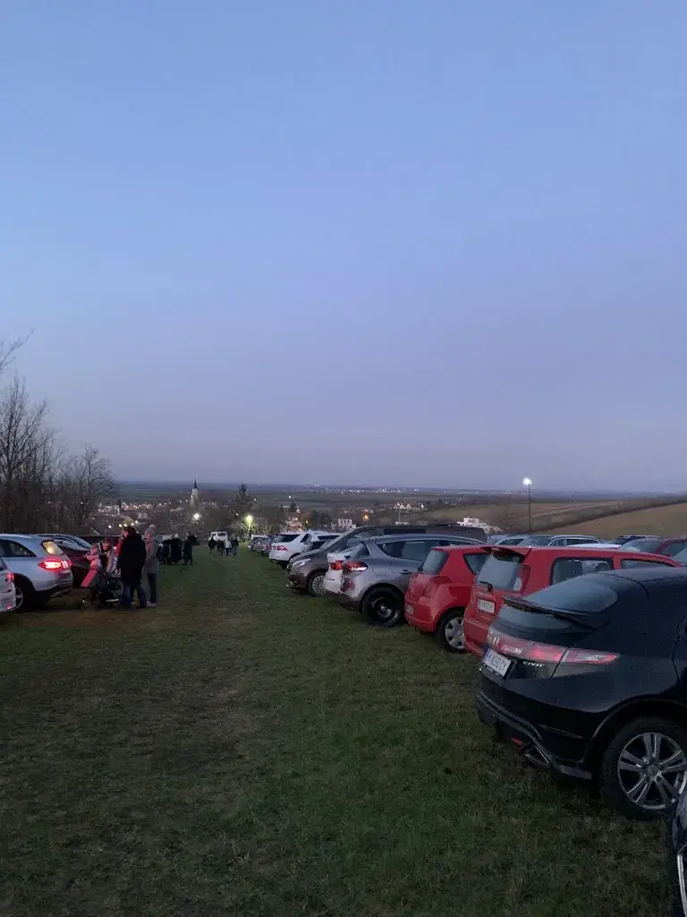 Thomas Mitteregger_Loamgrui bei Unterstinkenbrunn_Gnadendorf_recensione