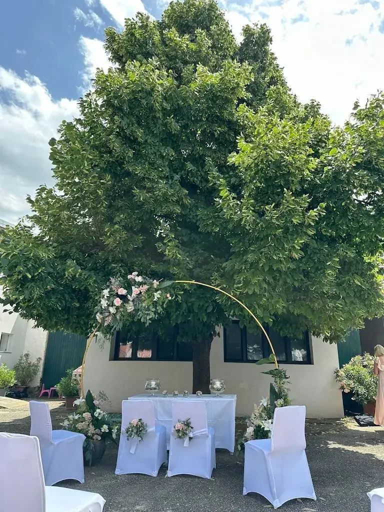 Sabine Wenhardt_cafe im wittnerhof_Gramatneusiedl_review