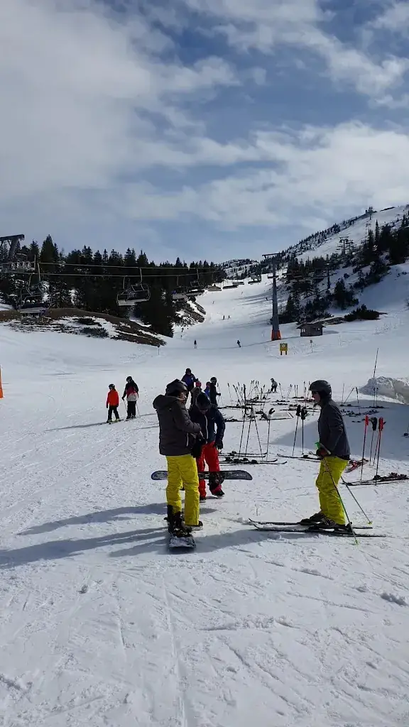 Latschen-Alm_Göstling an der Ybbs_slider_image_2