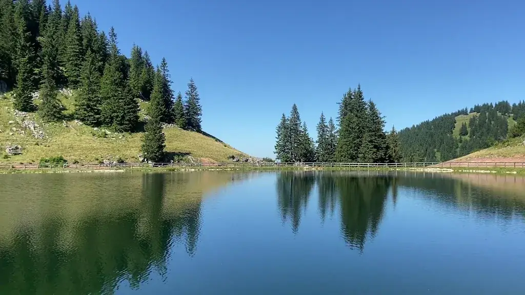 Hanna Teglasy_Hochkarhof_Göstling an der Ybbs_avis