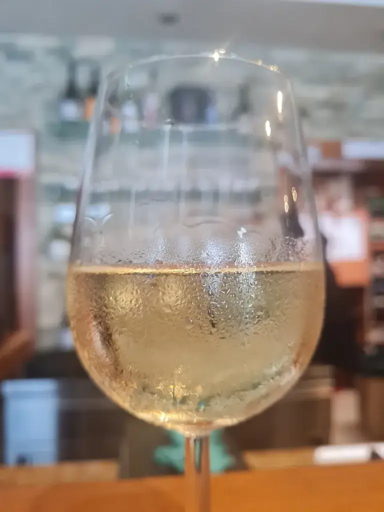 Menu_Pulkautaler Restaurant und Catering_Guntersdorf_immagine_4