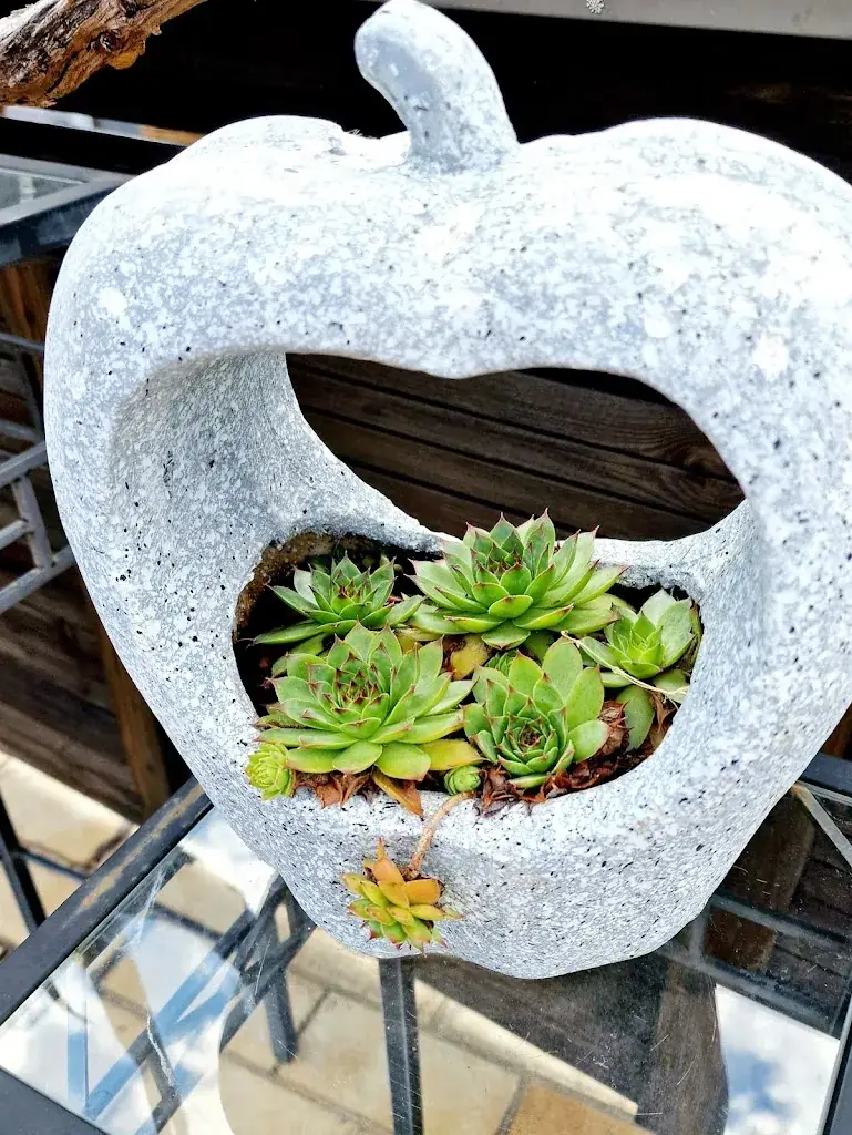 Menu_Cafe Hofer_Gutenbrunn_immagine_5