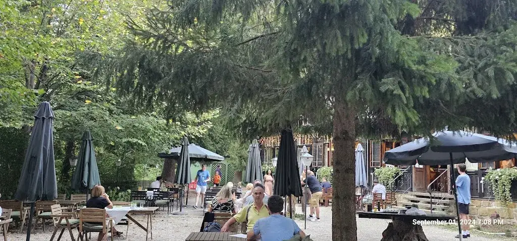 Dougie G_Der Waldhof_Gugging_avis