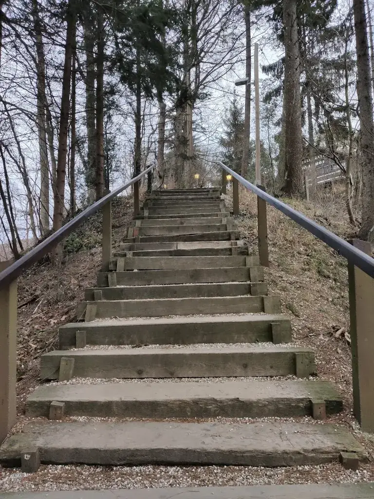 Konstantinos Kartsonakis_Der Waldhof_Gugging_avis