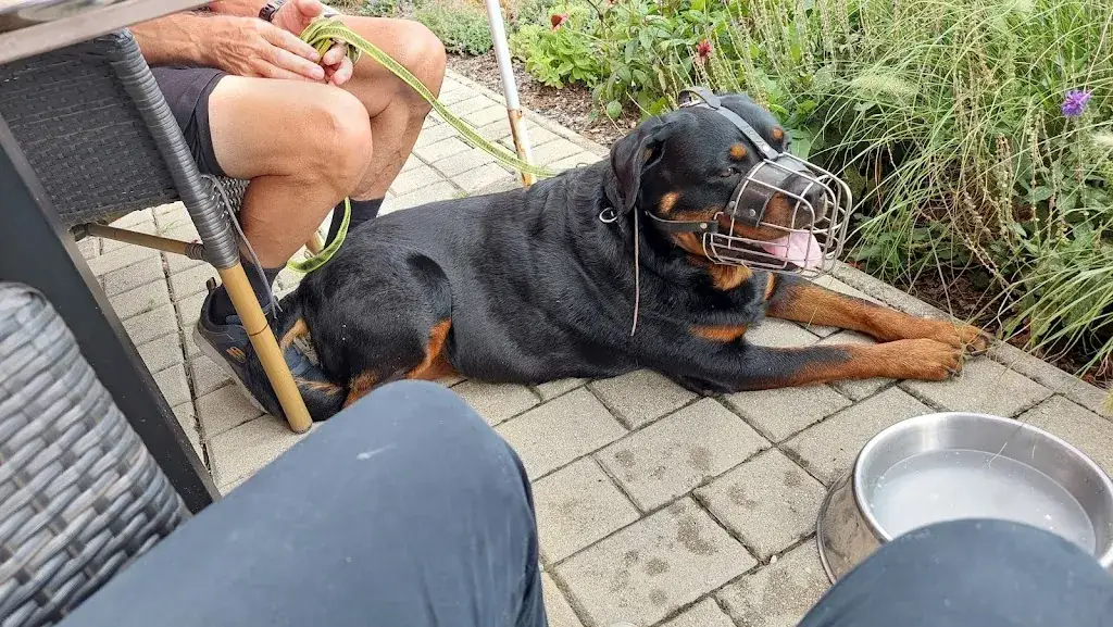 Traude Simetits_Cafe Pub s'Quartier_Horitschon_review