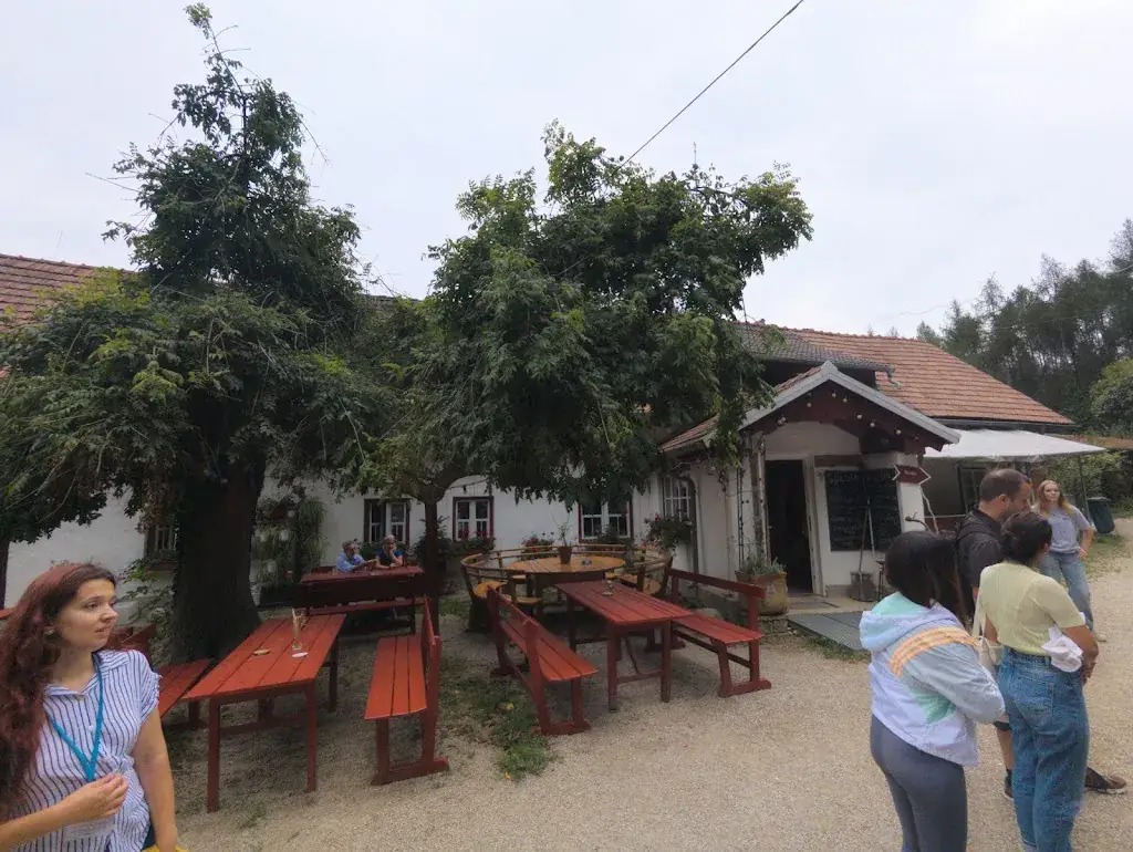 Drish_Redlingerhütte_Gugging_recensione