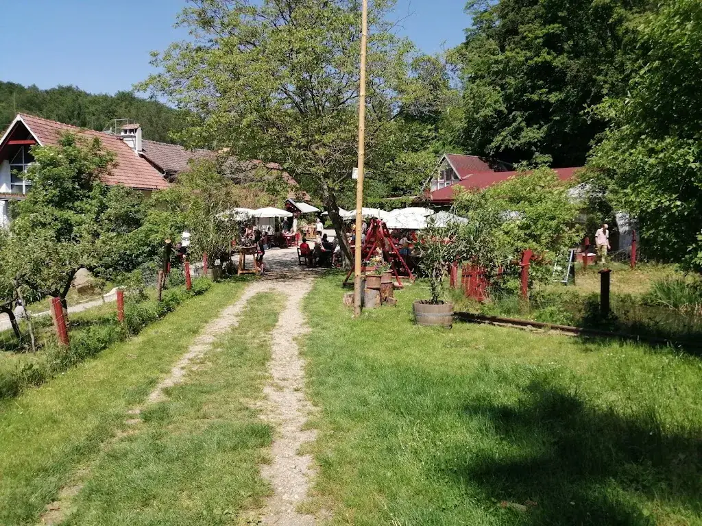 Mr. Biersaefer_Redlingerhütte_Gugging_recensione