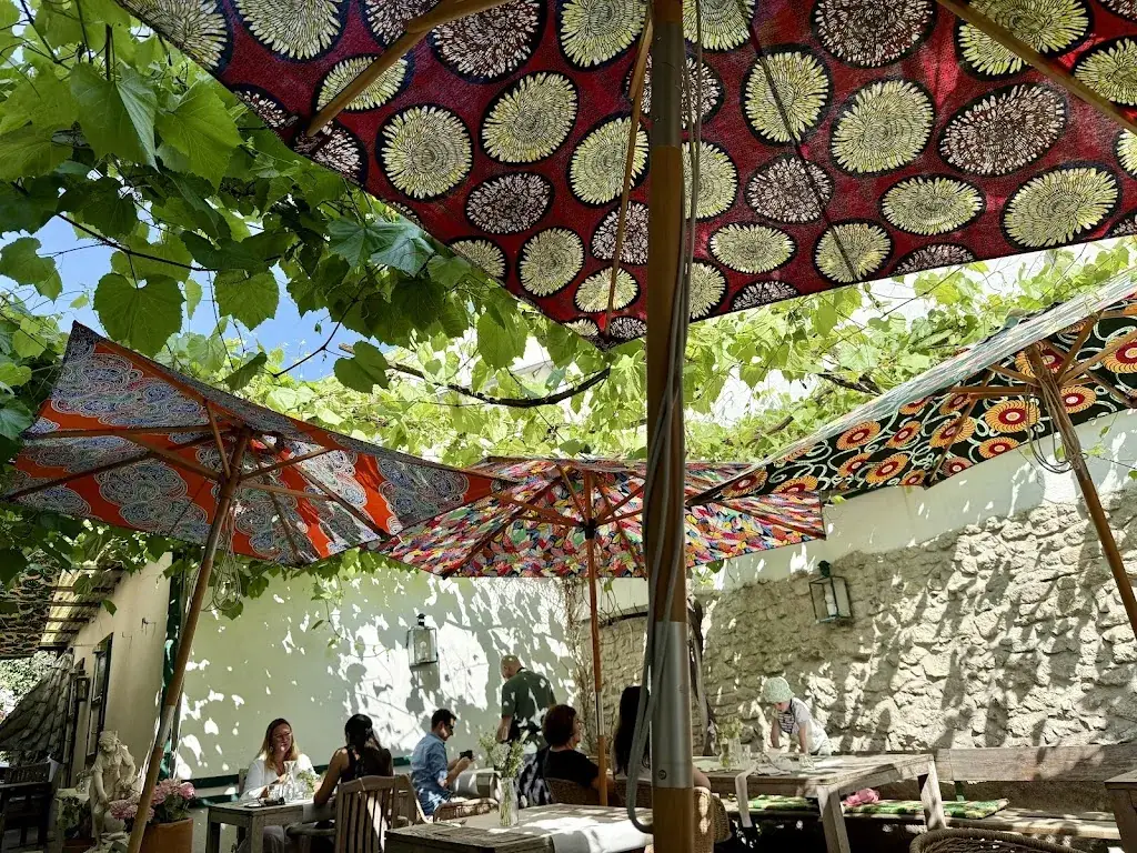 S. F. (ShaFa)_spaetrot_Gumpoldskirchen_recensione