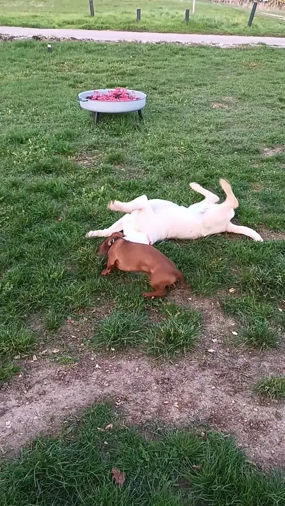 Claudia Weiss_Sandras Weingartenhütte_Gumpoldskirchen_avis