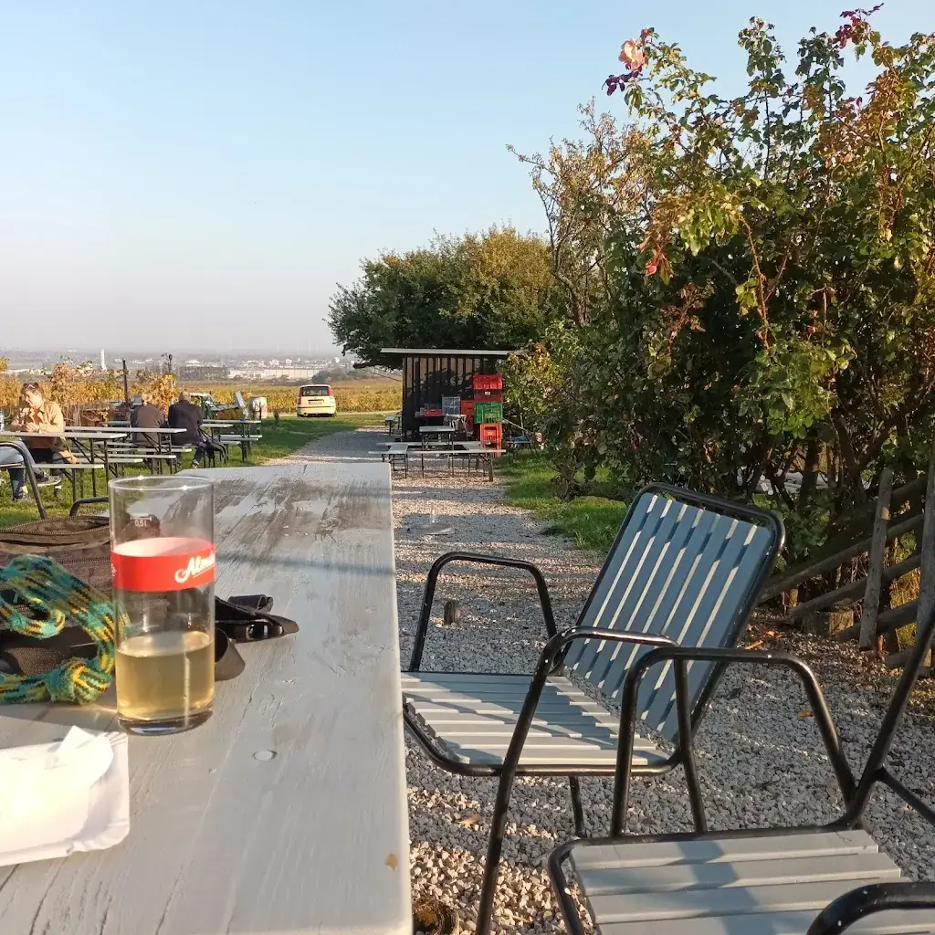 Sandras Weingartenhütte_Gumpoldskirchen_slider_image_1