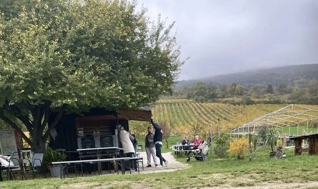 Sandras Weingartenhütte_Gumpoldskirchen_slider_image_2