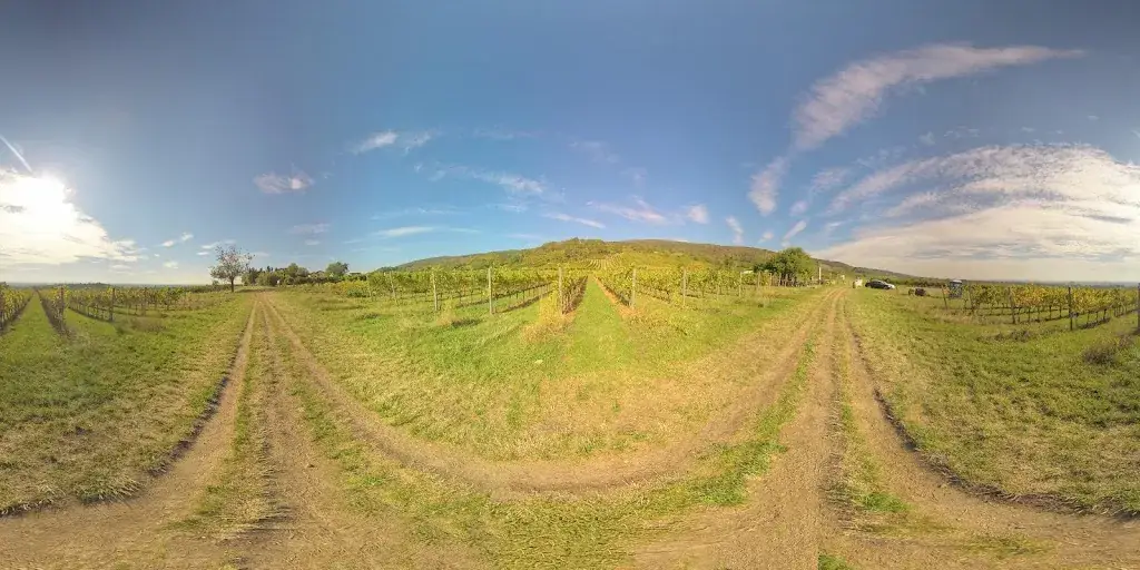 Sandras Weingartenhütte_Gumpoldskirchen_slider_image_3