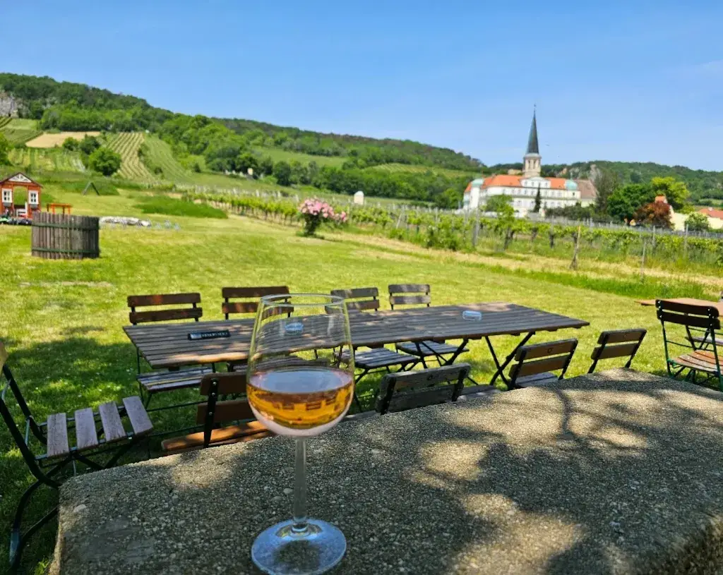 Abhish Chandhok_Weinbau Straitz & Straitz_Gumpoldskirchen_recensione