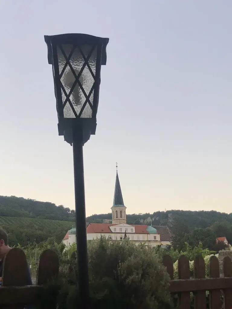 Viorica Timofti_Weinbau Straitz & Straitz_Gumpoldskirchen_recensione