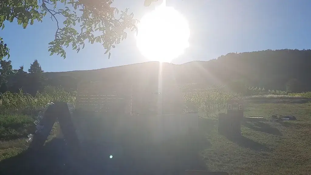 Weinbau Straitz & Straitz_Gumpoldskirchen_slider_image_2