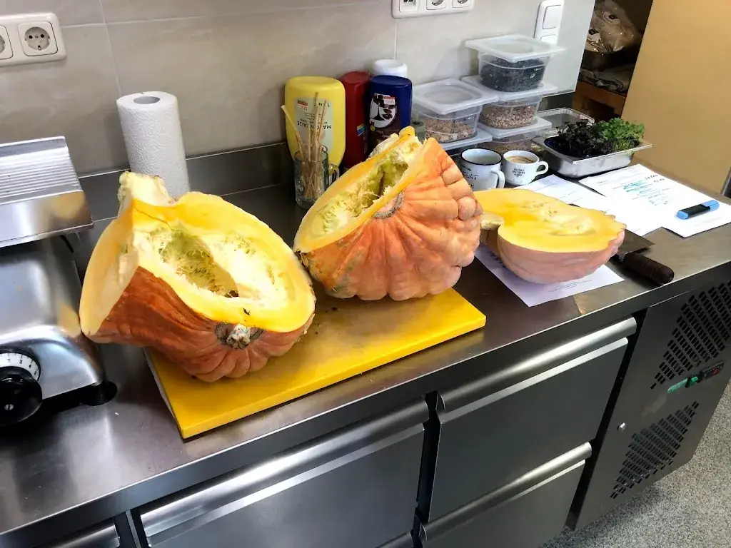 Weinbau Straitz & Straitz_Gumpoldskirchen_slider_image_3