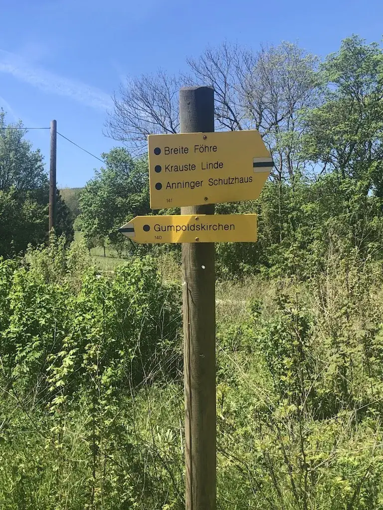 Elisabeth Schleicher_Richardhof_Gumpoldskirchen_avis