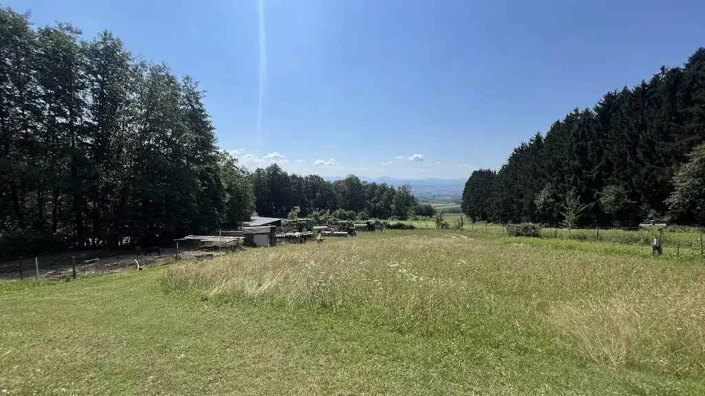 Matthias Wunderbaldinger_Waldschenke_Hafnerbach_avis