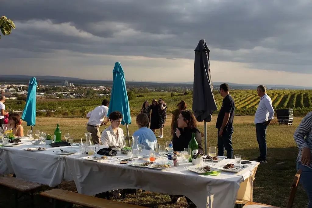 Milos Vucicevic_Buschenschank Da Emma_Guntramsdorf_avis