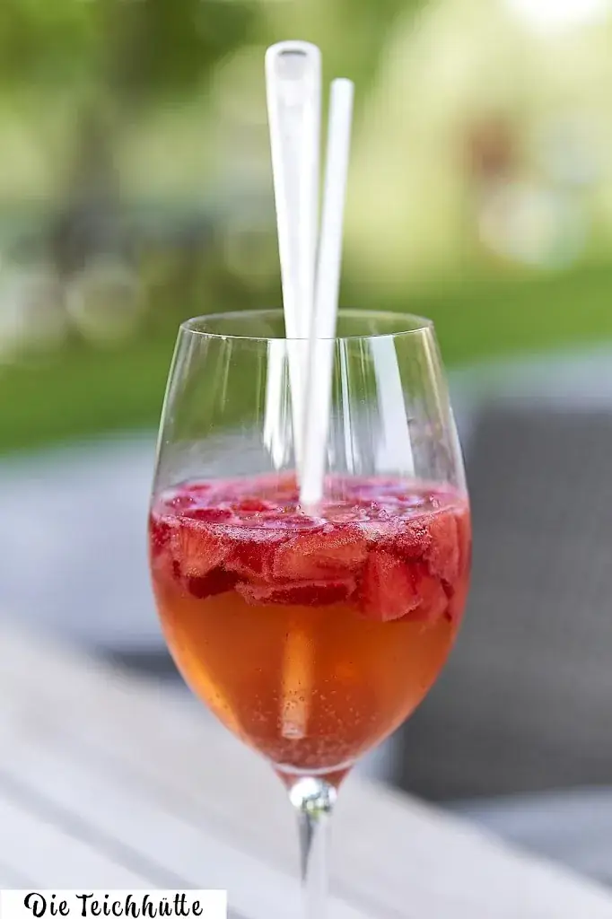 Menu_Teichhütte_Guntramsdorf_immagine_5