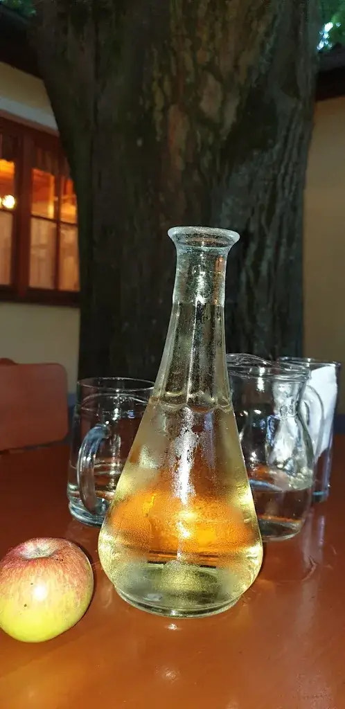 Menu_Winery and vineyard Stefan & Theres Oberschil_Hagenbrunn_image_5