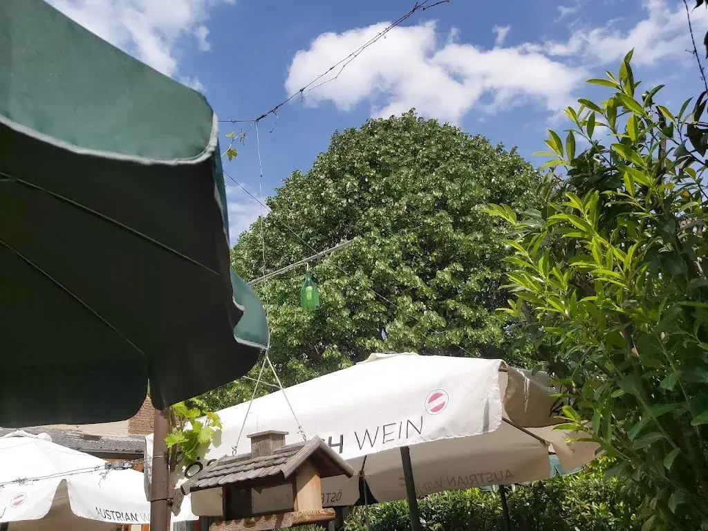 Wolfgang Jungwirth_Winery and vineyard Stefan & Theres Oberschil_Hagenbrunn_avis