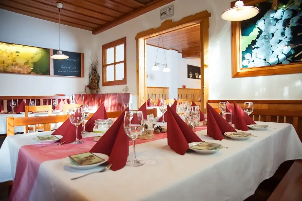 Christian Fischer_Winery and vineyard Stefan & Theres Oberschil_Hagenbrunn_avis