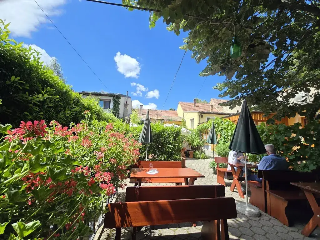 Winery and vineyard Stefan & Theres Oberschil ristorante a Hagenbrunn